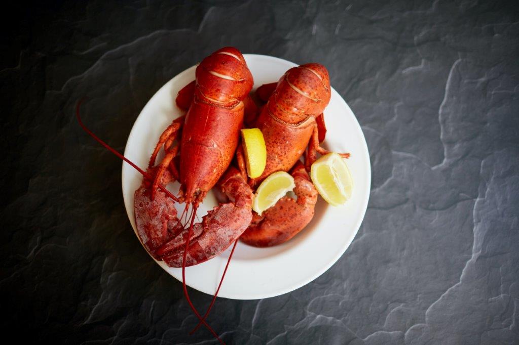 Picture of lobsters on a dinner plate